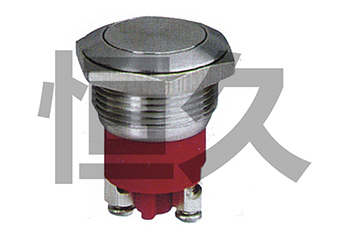 DS-19F  OFF-(ON) 6A 125V/AC 3A 250VAC