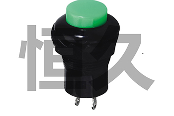 DS-313  OFF-(ON) 1A250VAC