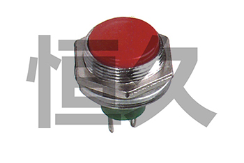 DS-208  OFF-(ON) 1A250VAC