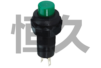 R13-502  OFF-(ON) 1A250VAC