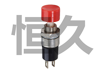 DS-323  OFF(ON)1A250VAC