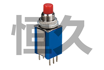 AN4-2X2  ON-(ON) 1A250VAC