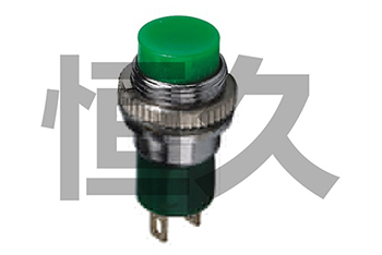 DS-324  OFF-(ON) 1A250VAC