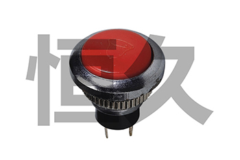 DS-312  OFF-(ON)1A250VAC