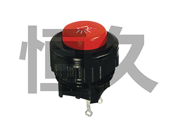 DS-510(自锁)  ON-OFF;DS-511(无锁)  OFF-(ON)