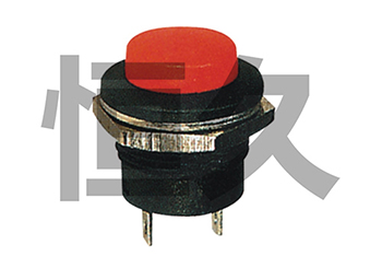 R13-507  OFF-(ON) 3A250VAC