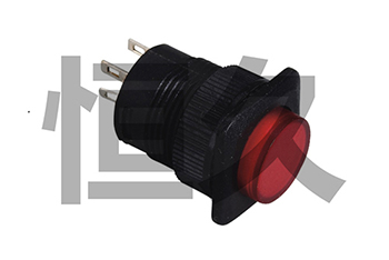 R16-504/AD(自锁带灯) R16-504/BD(无锁带灯)