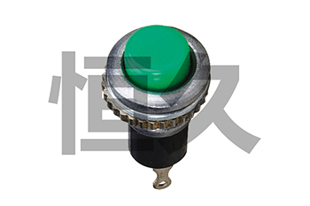 DS-316  OFF-(ON)0.5A250VAC