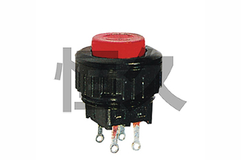 DS520L带灯自锁 φ16  DS521L带灯无锁 圆形