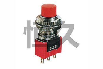 DS612 ON-ON  DS613 ON-(ON) φ6