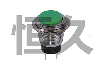 DS-318  OFF-(ON)1A250VAC