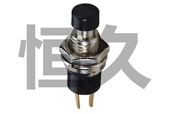 CS-312  OFF-(ON) CS-312C ; ON-(ONN)  0.5A250VAC