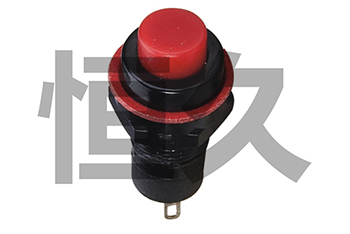 DS-211  ON-OFF;DS-213  OFF-(ON) 1A250VAC