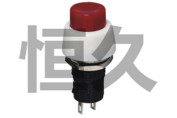 DS-450  ON-OFF DS-451  OFF-(ON)   1A250VAC