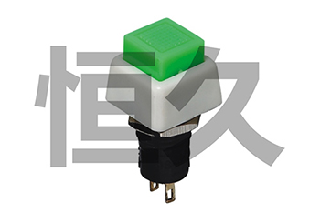 DS-460  ON-OFF;DS-461  OFF-(ON)   1A250VAC