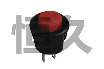 DS-058  OFF-(ON)1A250VAC